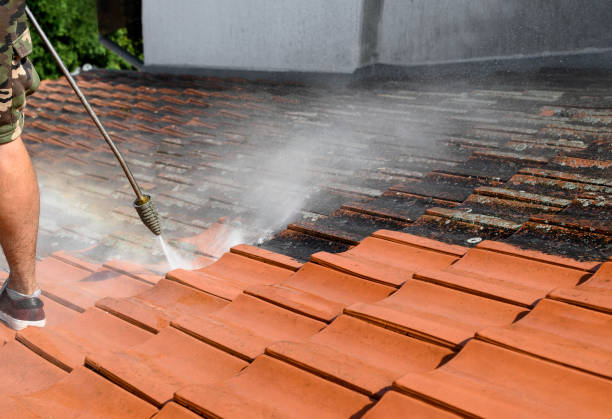 Best Pressure Washing Siding  in Roselle Park, NJ