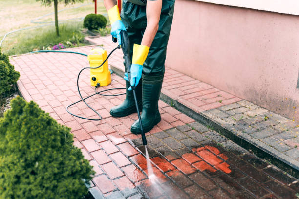 Best Deck Cleaning Services  in Roselle Park, NJ