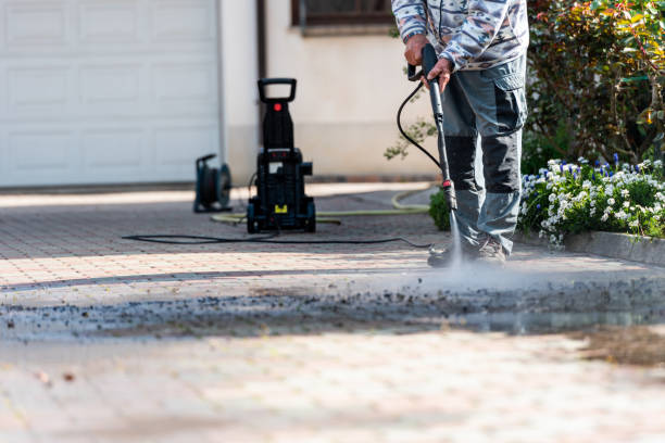 Best Roof Pressure Washing  in Roselle Park, NJ