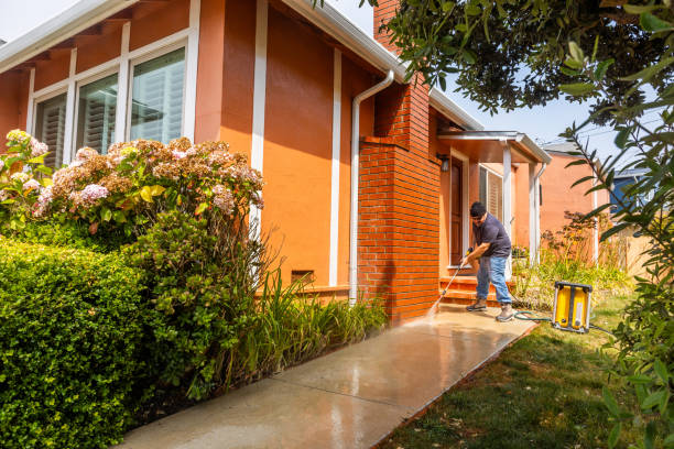 Best Affordable Power Washing  in Roselle Park, NJ