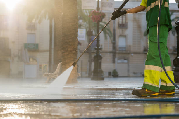 Best Residential Pressure Washing Services  in Roselle Park, NJ
