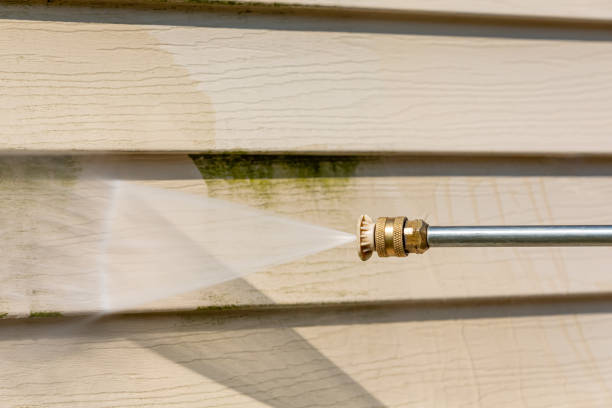 Best Best Pressure Washing Companies  in Roselle Park, NJ